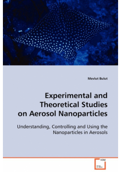 Experimental and Theoretical Studies on Aerosol Nanoparticles