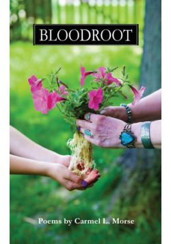 Bloodroot