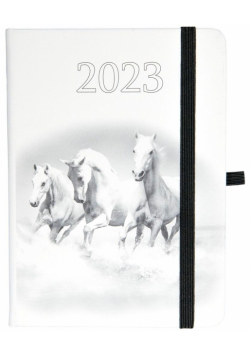 Kalendarz 2023 B6 tyg. Hip hop konie ELEFANT