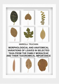 Morphological And Anatomical Variations Of Leaves In Selected Taxa From The Family Moraceae And Their Taxonomical Importance