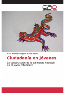 Ciudadanía en Jóvenes