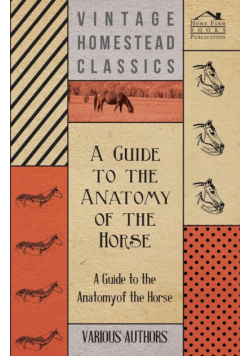 A   Guide to the Anatomy of the Horse - A Collection of Historical Articles on the Skeleton, Hoof, Teeth, Locomotion and Other Aspects of Equine Anato