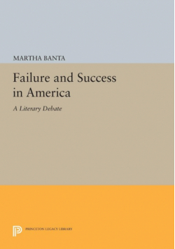 Failure and Success in America