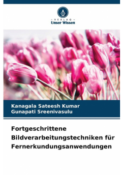 Fortgeschrittene Bildverarbeitungstechniken für Fernerkundungsanwendungen
