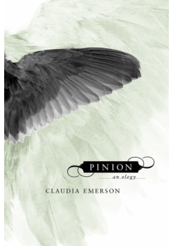 Pinion