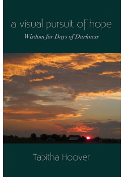 A Visual Pursuit of Hope