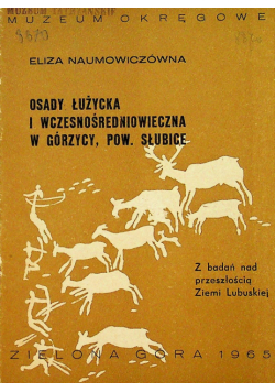 Osady łużycka i wczesnośredniowieczna w górzycy