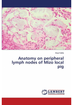 Anatomy on Peripheral Lymph Nodes of Mizo Local Pig