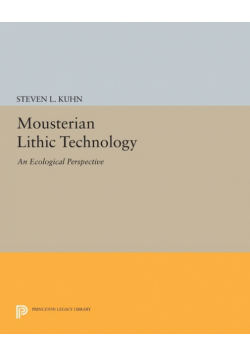 Mousterian Lithic Technology