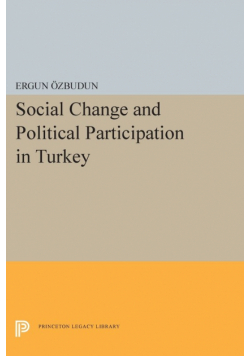 Social Change and Political Participation in Turkey