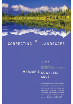 Correcting the Landscape