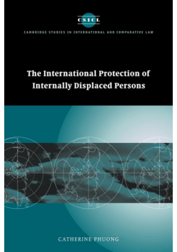 The International Protection of Internally Displaced Persons