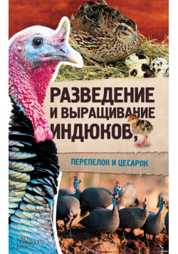 Разведение и выращивание индюков, перепелок и цесарок