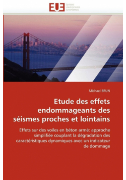 Etude des effets endommageants des séismes proches et lointains