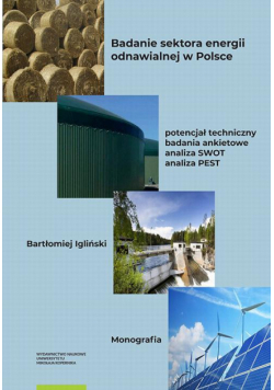 Badanie sektora energii odnawialnej w Polsce – potencjał techniczny, badania ankietowe, analiza SWOT, analiza PEST