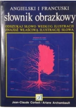 Angielski i francuski słownik obrazkowy