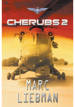 Cherubs 2