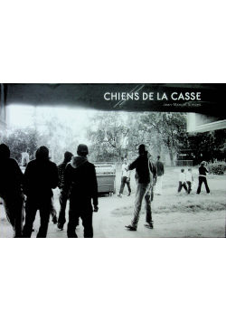 Chiens de la casse