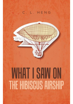 What I Saw on the Hibiscus Airship