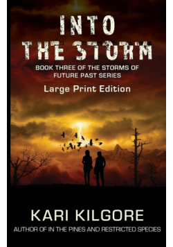 Into the Storm