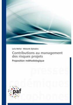 Contributions au management des risques projets