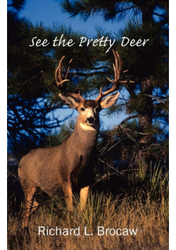 See the Pretty Deer