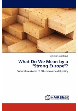 What Do We Mean by a "Strong Europe"?