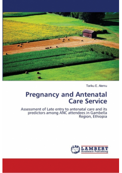 Pregnancy and Antenatal Care Service