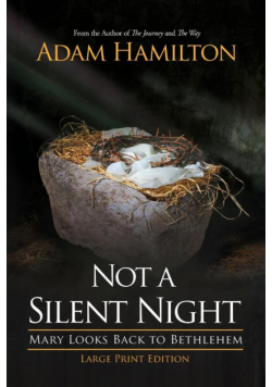 Not a Silent Night