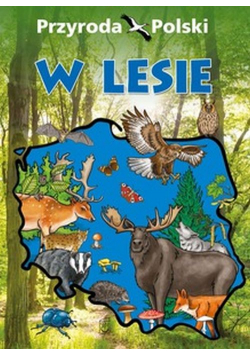 Przyroda Polski W lesie