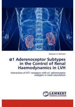 1 Aderenoceptor Subtypes in the Control of Renal Haemodynamics in Lvh