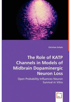 The Role of KATP Channels in Models of Midbrain Dopaminergic Neuron Loss