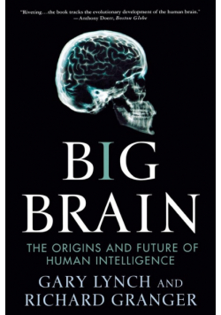 Big Brain