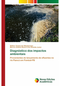 Diagnóstico dos impactos ambientais