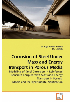 Corrosion of Steel Under Mass and Energy             Transport in Porous Media