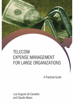 Telecom Expense Management for Large Organizations