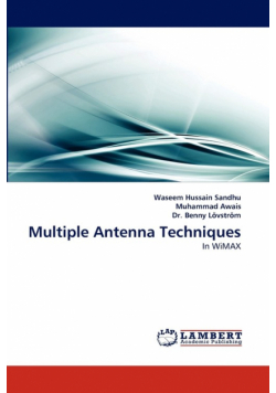 Multiple Antenna Techniques