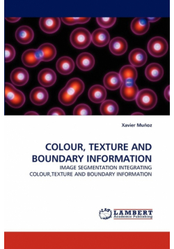 Colour, Texture and Boundary Information