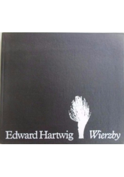 Wierzby