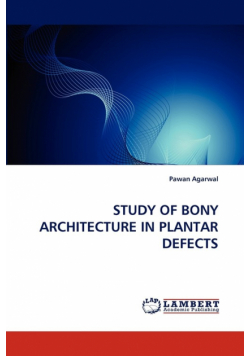Study Of Bony Architecture In Plantar Defects