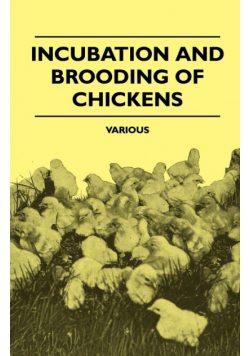 Incubation and Brooding of Chickens