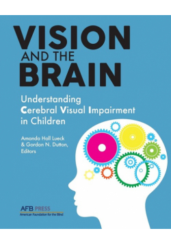 Vision and the Brain
