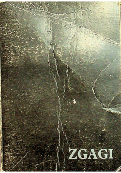 Zgagi