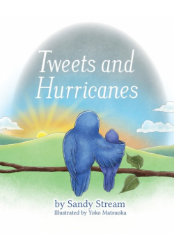 Tweets and Hurricanes