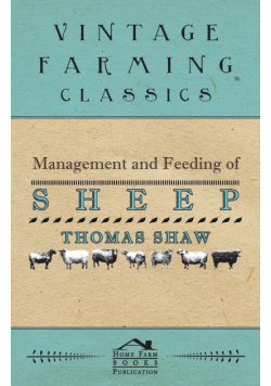 Management and Feeding of Sheep