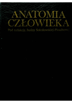 Anatomia człowieka