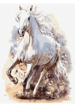 Malowanie po numerach - Wyrafinowana moc 30x40cm