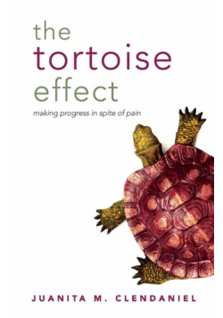 The Tortoise Effect