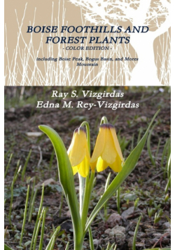 Boise Foothills And Forest Plants - Color Edition
