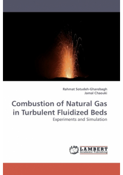 Combustion of Natural Gas in Turbulent             Fluidized Beds